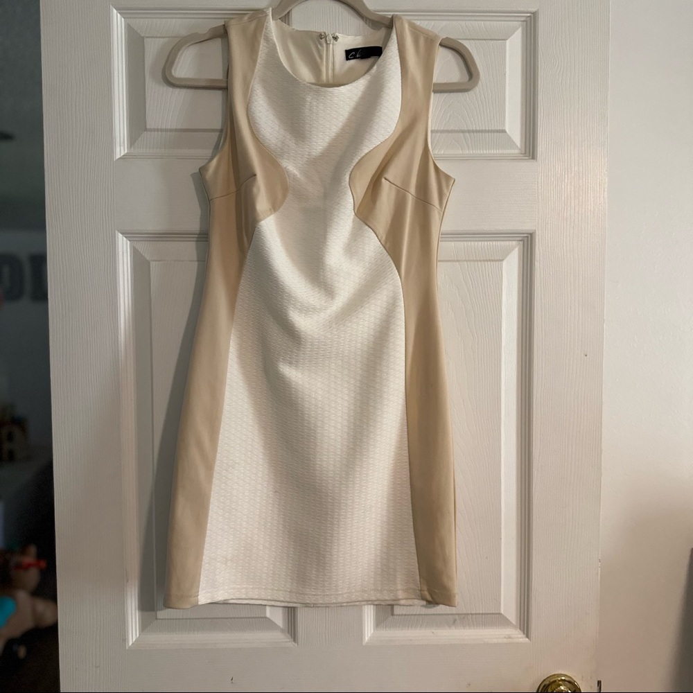 Neutral Colorblock Sleeveless Sheath Dress